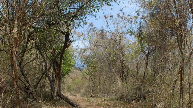 Take a Hike In Paradise